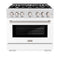 36 in. 5.2 cu. ft. Select Gas Range with 6 Burner Cooktop and Convection Gas Oven