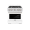 30 in. 4.2 cu. ft. Select Gas Range with 4 Burner Cooktop and Convection Gas Oven