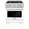 30 in. 4.2 cu. ft. Select Gas Range with 4 Burner Cooktop and Convection Gas Oven