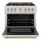 Autograph Edition 36 in. 5.2 cu. ft. Select Gas Range with 6 Burner Cooktop and Convection Gas Oven
