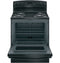 Ge® Energy Star® 30" Free-standing Self-clean Electric Range