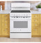 Ge 30” Free-standing Electric Radiant Smooth Cooktop Range