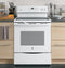 Ge® 30" Free-standing Electric Range