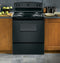 Ge® Energy Star® 30" Free-standing Electric Range