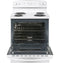 30" Free-Standing Electric Range