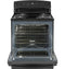 Ge® Energy Star® 30" Free-standing Electric Range