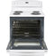 Ge® Energy Star® 30" Free-standing Electric Range