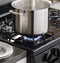 Ge® 30" Free-standing Gas Range