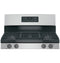 Ge® 30" Free-standing Gas Range