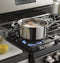 Ge® 30" Free-standing Gas Range