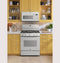30" Free-Standing Gas Convection Range with No Preheat Air Fry