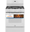 30" Free-Standing Gas Convection Range with No Preheat Air Fry