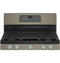 30" Free-Standing Gas Convection Range with No Preheat Air Fry