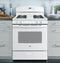 30" Free-Standing Gas Range