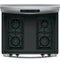 30" Free-Standing Gas Range