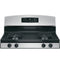 30" Free-Standing Gas Range
