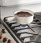 30" Free-Standing Gas Range