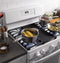 30" Free-Standing Gas Range
