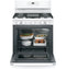 30" Free-Standing Gas Range