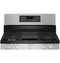 30" Free-Standing Gas Double Oven Convection Range