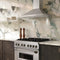 36 In. Convertible Vent Wall Mount Range Hood In Stainless Steel