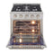 30″ ProStyle Kitchen Dual Fuel Range