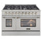 48″ Pro Class Kitchen Dual Fuel Range