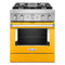 30'' Smart Commercial-Style Dual Fuel Range with 4 Burners