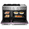 48-inch 6 Burner Commercial-style Dual Fuel Range With Griddle