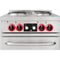 24 in. Commercial Electric Range with 4 Burners and 1 Standard Electric Oven in Stainless Steel - 208V 3-Phase