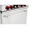 24 in. Commercial Electric Range with 4 Burners and 1 Standard Electric Oven in Stainless Steel - 208V 3-Phase