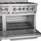 60 in. Commercial 10 Burner Natural Gas Range in Stainless-Steel