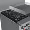 36 in. 2 Burner Commercial LP Range with 24 in. Griddle in Stainless-Steel