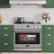 36 in. Professional Electric Range with 16600W of Power, 240V in Stainless-Steel