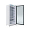 21 Cu. Ft. Commercial Freezer with Glass Door in White - Manual Defrost
