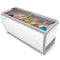 70 in. 12 Tub Ice Cream Dipping Cabinet Display Freezer with Sliding Glass Door, 20 cu. ft