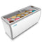 70 in. 12 Tub Ice Cream Dipping Cabinet Display Freezer with Sliding Glass Door, 20 cu. ft