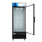 31 in. 25 cu. ft. Commercial Indoor Glass-Door Ice Merchandiser Freezer in Black