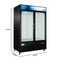 53 in. 42 cu. ft. Commercial Indoor Two Glass-Door Ice Merchandiser Freezer in Black