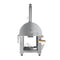 32 in. Outdoor Propane and Wood Fired Pizza Oven in Stainless-Steel