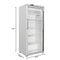 30 in. 21 cu. ft. Commercial Auto Defrost Glass Door Reach-In Freezer in White