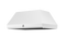 36" Island Hood