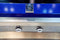 42" Pro Canopy