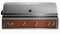 54” Professional Built-in Grill With 1 Trident Infrared Burner And 3 Ceramic Burners And Rotisserie
