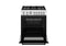 30 inch Dual Fuel, 5 Burners, Electric Oven