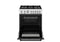 30 inch Dual Fuel, 5 Burners, Electric Oven