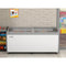 71 in. Commercial Ice Cream Display Freezer, 20 cu. ft.