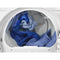 Commercial Electric Dryer, Coin Drop Equipped