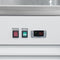 53 in. 2-Door Commercial Display Merchandiser Freezer 45 cu. ft. in White