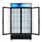 45 in. Two Glass Door Merchandiser Refrigerator - 35 Cu. Ft.